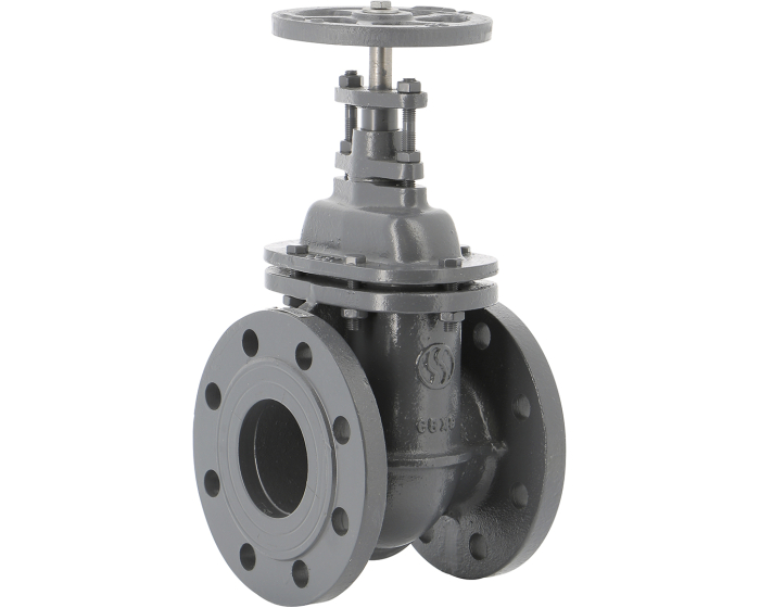 Cast iron gate valve 150 flanged RF PN10 DN40